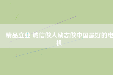 精品立業(yè) 誠信做人勵志做中國最好的電機
          